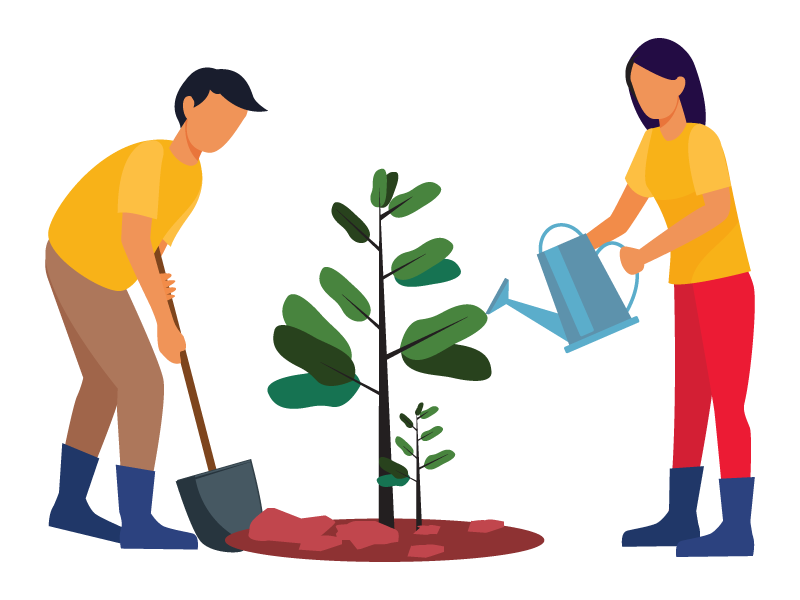 栄産業の植木・庭木販売1